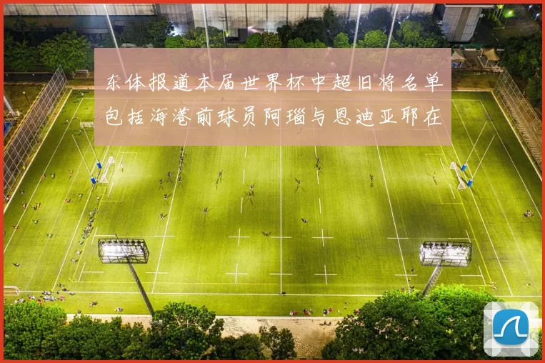东体报道本届世界杯中超旧将名单包括海港前球员阿瑙与恩迪亚耶在内的10位球员